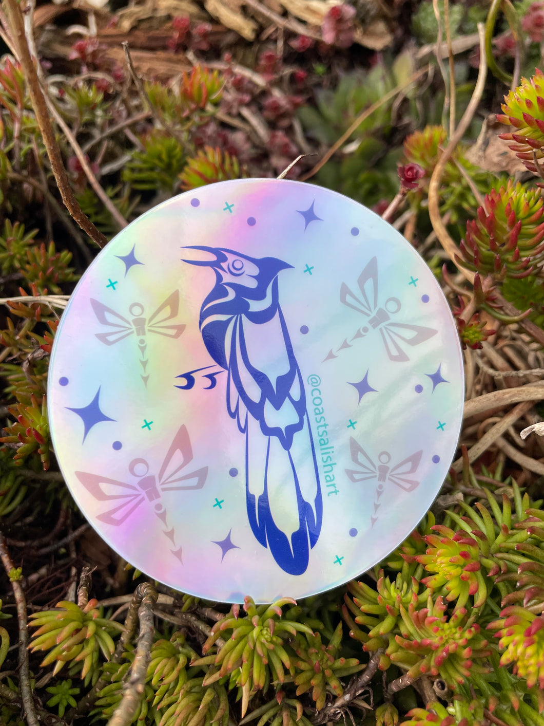 Holographic Blue Jay and Dragonfly Sticker